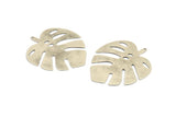 Silver Monstera Charm, 2 Antique Silver Plated Brass Monstera Leaf Charms With 1 Loop, Pendants, Earrings, Findings (51x46x0.50mm) D0653