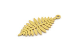 Brass Leaf Charm, 24 Raw Brass Acacia Leaf Charms With 1 Loop, Findings (27x13x0.60mm) A4779