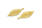 Brass Leaf Charm, 24 Raw Brass Acacia Leaf Charms With 1 Loop, Findings (27x13x0.60mm) A4779