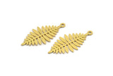 Brass Leaf Charm, 24 Raw Brass Acacia Leaf Charms With 1 Loop, Findings (27x13x0.60mm) A4779