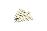Silver Leaf Charm, 10 Antique Silver Plated Brass Acacia Leaf Charms With 1 Loop, Findings (21x20x0.60mm) A4353 H0340