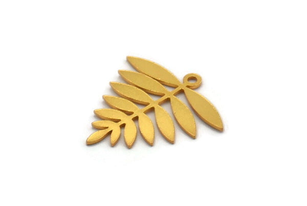 Gold Leaf Charm, 6 Gold Plated Brass Acacia Leaf Charms With 1 Loop, Findings (21x20x0.60mm) A4353 H0340