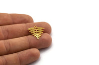 Gold Leaf Charm, 6 Gold Plated Brass Acacia Leaf Charms With 1 Loop, Findings (21x20x0.60mm) A4353 H0340