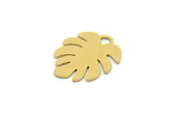 Brass Monstera Charm, 12 Raw Brass Monstera Leaf Shaped Charms With 1 Loop, Pendant, Earring Findings (17x14.5x0.60mm) SMP0277