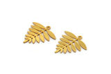 Gold Leaf Charm, 6 Gold Plated Brass Acacia Leaf Charms With 1 Loop, Findings (21x20x0.60mm) A4353 H0340