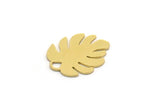 Brass Monstera Charm, 12 Raw Brass Monstera Leaf Shaped Charms With 1 Loop, Pendant, Earring Findings (17x14.5x0.60mm) SMP0277