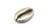 Silver Shell Finding, 1 Antique Silver Plated Brass Cowrie Shell Findings, Pendants, Charms, Earrings, Beads 32-34MM E338