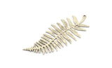 Silver Leaf Charm, 2 Antique Silver Plated Brass Branch Charms With 1 Loop, Charm Pendants (62x27x0.60mm) A3439 H0985