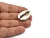 Silver Shell Finding, 1 Antique Silver Plated Brass Cowrie Shell Findings, Pendants, Charms, Earrings, Beads 32-34MM E338