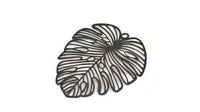 Monstera Charm, 2 Oxidized Black Plated Brass Monstera Leaf Charms With 1 Loop, Pendants, Earrings, Findings (49x44x0.40mm) D0618 H0969