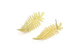 Brass Leaf Earring, 6 Raw Brass Leaf Stud Earrings, Findings (34x15x0.60mm) A3852