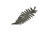 Siyah Yaprak Tılsımı, 1 Halkalı 2 Oksitlenmiş Siyah Pirinç Dal Tılsımı, Tılsım Kolye Uçları (62x27x0,60 mm) A3439 H0985