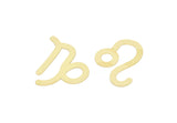 Brass Zodiac, Raw Brass Zodiac Findings, Charm Pendants, Earring Charms, Findings SMP2106