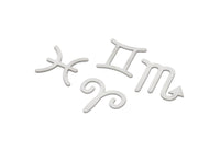 Steel Zodiac, Stainless Steel Zodiac Findings, Charm Pendants, Earring Charms, Findings SMP2105
