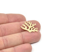Brass Reef Charm, Raw Brass Coral Charms, Findings (19x25x0.60mm) SMP2163