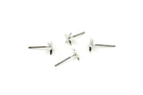 Silver Starfish Earring, 12 925K Sterling Plated Brass Starfish Stud Earrings (7mm) N1176