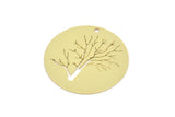 Brass Round Charm, Raw Brass Tree Charms With 1 Hole, Charm Pendants (25x0.60mm) SMP2261