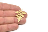 Brass Branch Charm, Raw Brass Leaf Charms With 1 Loop, Leaf Earrings (40x27.5x0.60mm) SMP2340