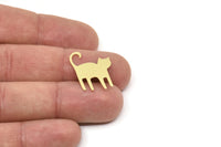 Pirinç Kedi Boşluğu, Ham Pirinç Kedi Boşluğu, Tılsımlar, Bulgular (21x17x0,60 mm) SMP2403