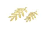 Brass Leaf Charm, Raw Brass Branch Charms With 1 Loop, Blanks, Findings (30/40x0.60mm) SMP2422