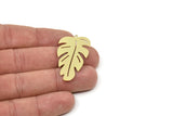 Brass Leaf Charm, Raw Brass Monstera Leaf Charms With 1 Loop, Blanks, Findings (30/40x0.60mm) SMP2452