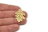 Brass Leaf Charm, Raw Brass Oak Leaf Charms With 1 Loop, Blanks, Findings (30/40x0.60mm) SMP2453