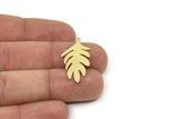 Brass Leaf Charm, Raw Brass Leaf Charms With 1 Loop, Blanks, Findings (20/30/40x0.60mm) SMP2417