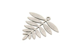 Silver Leaf Charm, 6 Antique Silver Plated Brass Acacia Leaf Charms With 1 Loop, Findings (25x25x0.60mm) A4354