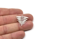 Silver Leaf Charm, 6 Antique Silver Plated Brass Acacia Leaf Charms With 1 Loop, Findings (25x25x0.60mm) A4354