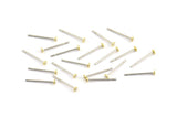 Earring Post Stud, 250 - 202L Stainless Steel Earring Posts With Raw Brass 2mm Flat Pad, Ear Studs ( BS 2228 )