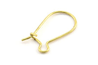 Brass Ear Hooks, 100 Raw Brass Earring Wires, Earring Hooks (20x10x0.8mm) BS 2136