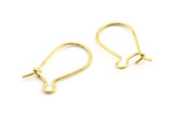 Brass Ear Hooks, 100 Raw Brass Earring Wires, Earring Hooks (20x10x0.8mm) BS 2136