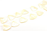 Natural Mother Of Pearl Beads, Full Strands Shell Beads, Pearl Beads (34x33x6mm) X058