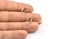 Brass Ear Hooks, 12 Raw Brass Earring Wires, Earring Hooks (15x8mm) BS 2297