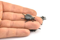 Tiny Bug Charm, 2 Oxidized Brass Black Bug Fly Insect Charms With 1 Loop (29x22x5.5mm) N0495 S619