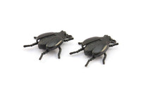 Tiny Bug Charm, 2 Oxidized Brass Black Bug Fly Insect Charms With 1 Loop (29x22x5.5mm) N0495 S387