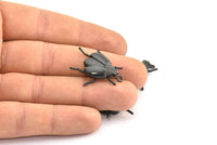 Tiny Bug Charm, 2 Oxidized Brass Black Bug Fly Insect Charms With 1 Loop (29x22x5.5mm) N0495 S387