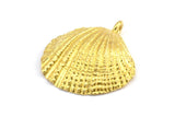 Brass Shell Charm, 2 Raw Brass Sea Shell Charm with 1 Loop, Pendants, Charms, Findings (27x24.5mm) E284