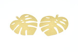 Brass Monstera Charm, 4 Raw Brass Monstera Leaf Charms With 1 Loop, Pendants, Earrings, Findings (51x46x0.50mm) D0653