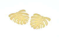 Brass Monstera Charm, 4 Raw Brass Monstera Leaf Charms With 1 Loop, Pendants, Earrings, Findings (45x43x0.60mm) D0654