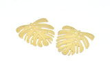 Brass Monstera Charm, 4 Raw Brass Monstera Leaf Charms With 1 Loop, Pendants, Earrings, Findings (45x43x0.60mm) D0654