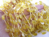 Yellow Opal 10 Mm Faceted Briolette Tear Drop Gemstone Beads Full Strand T025