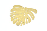 Brass Monstera Charm, 4 Raw Brass Monstera Leaf Charms With 1 Loop, Pendants, Earrings, Findings (45x43x0.60mm) D0654