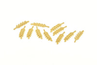 Brass Leaf Blank, 50 Raw Brass Branch Blanks, Earrings, Findings (20x5x0.80mm) D1154