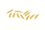 Brass Leaf Blank, 50 Raw Brass Branch Blanks, Earrings, Findings (20x5x0.80mm) D1154