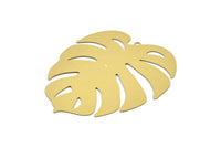 Brass Monstera Charm, 4 Raw Brass Monstera Leaf Charms With 1 Loop, Findings (61x54x0.30mm) D1673