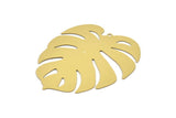 Brass Monstera Charm, 4 Raw Brass Monstera Leaf Charms With 1 Loop, Findings (61x54x0.30mm) D1673