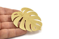 Brass Monstera Charm, 4 Raw Brass Monstera Leaf Charms With 1 Loop, Findings (61x54x0.30mm) D1673