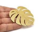 Brass Monstera Charm, 4 Raw Brass Monstera Leaf Charms With 1 Loop, Findings (61x54x0.30mm) D1673