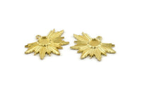 Brass Badge Charm, 2 Raw Brass Rosette Charm Pendants With 1 Loop, Earrings - Pad Size 6mm (33x24mm) N0751
